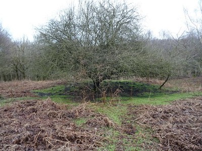 Photo 6x4 Brocton Camp - Unidentified mound Brocton/SJ9619 There are a s c2018