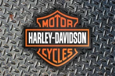 HARLEY DAVIDSON MOTORCYCLES STRETCHED CANVAS WALL ART READY TO HANG CP547
