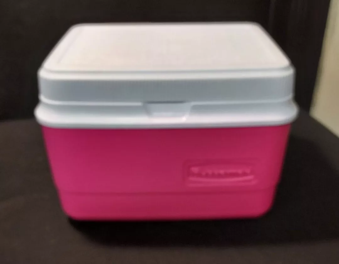 Rubbermaid 5 Quart Lunch Box Pink - Thermoses/Lunch Kits