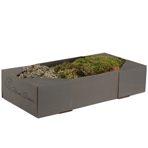Deko Moos – echtes Grün Moos & Flechte für Gestecke Kränze Naturdeko 250g - Bild 4 von 4