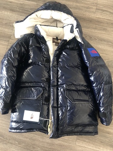 brown north face ebay