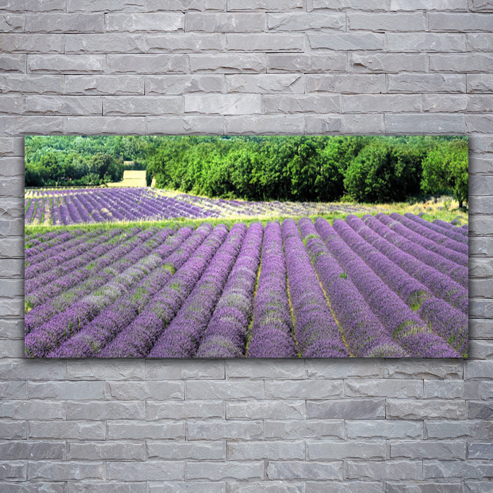 Tableau impression 120x60 nature fleurs prairie sur verre acrylique