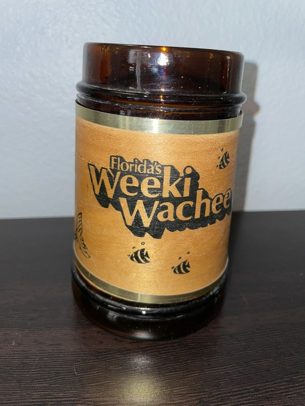 Vintage Florida’s Weeki Wachee Glass Souvenir Mug With Wooden Handle - Mermaids