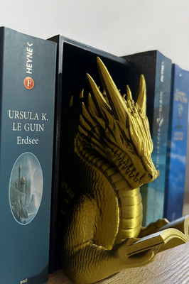   Book Nook  The Reading Dragon    Fantasy Regal Deko Drachenfigur