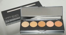 CINEMA SECRETS  ULTIMATE Color CORRECTOR 5 in 1 PALETTE 1 - FPK01 BRAND NEW 