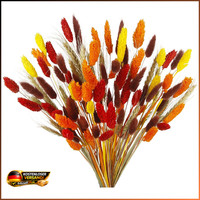 Trockenblumenstrauß 100 StüCk Getrocknete Blumen Bunny Tails Herbst Dekoration