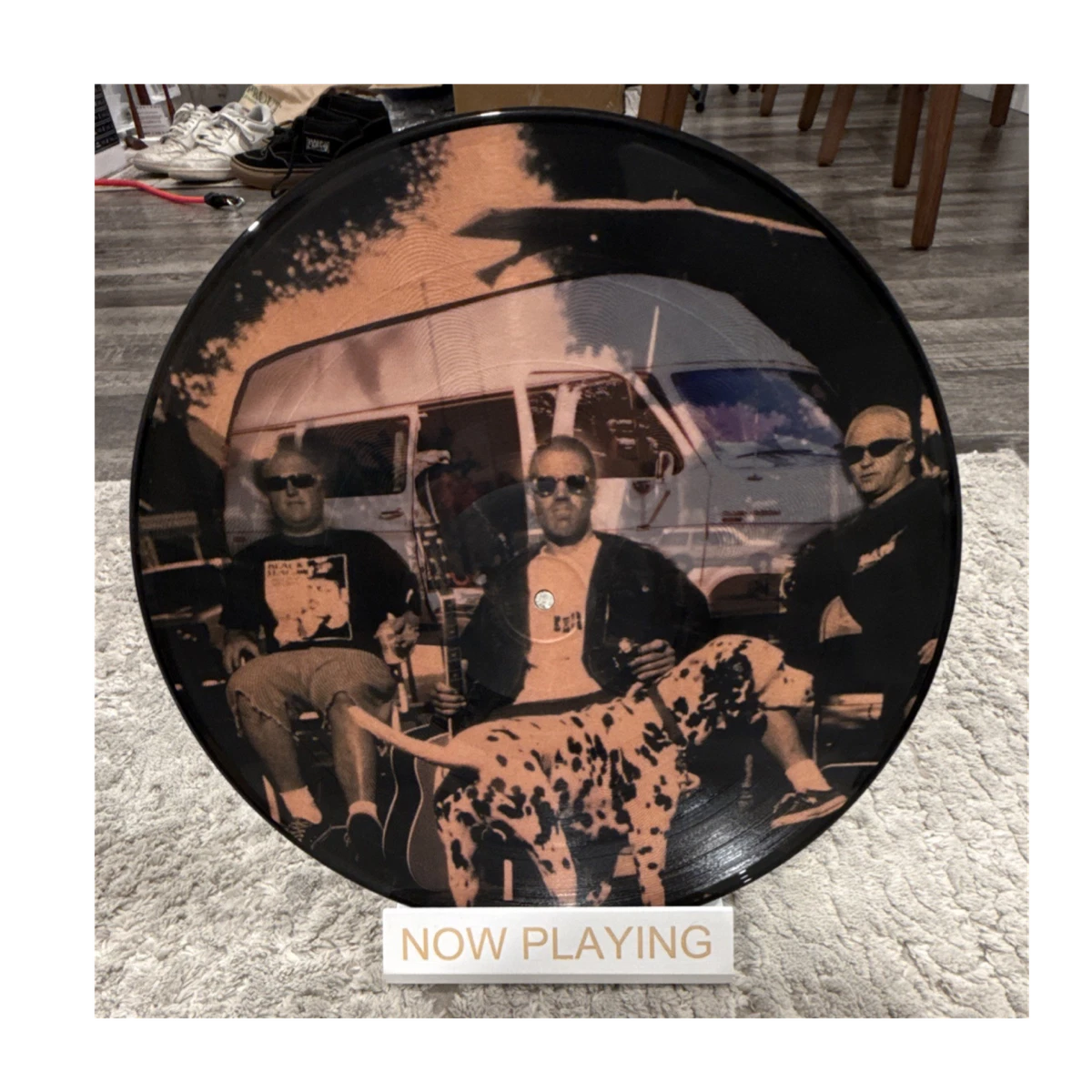 Sublime LP Picture Disc Vinyl Records | eBay