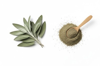 Salbei Pulver (Salvia officinalis)   traditionelle Anwendung im Frauen-Wellness