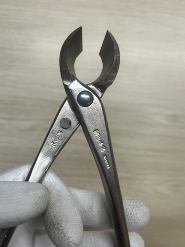 Masakuni Bonsai Tool No.8116 Concave Pruning Shears 170mm from Japan - Picture 5 of 10