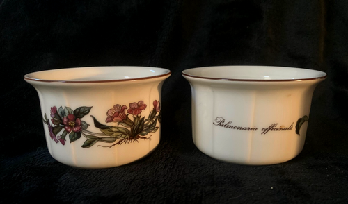 Set Of 4 Villeroy & Boch "BOTANICA" Ramekins...Discontinued Pattern...MUST SEE!! - Picture 3 of 5