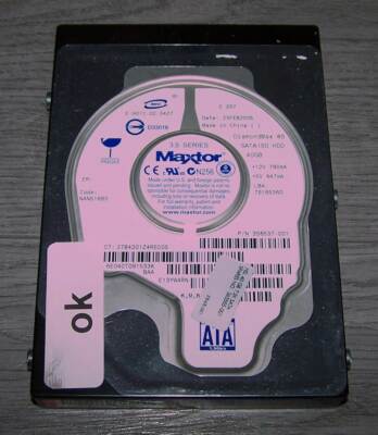 Maxtor DiamondMax 8S 6E040T0 40GB HD SATA 2MB Cache 7.200 U/Min.