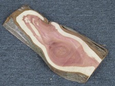 Eastern Red Cedar Lumber Figured Live Edge Wood Taxidermy 18 x 8 1/2 x 1 1/4