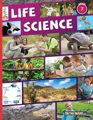 Life Science Grade 7 Tracy Bellaire Taschenbuch Kartoniert / Broschiert Englisch