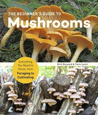 Beginner's Guide to Mushrooms: Everything You Need to Know, from Foraging to...