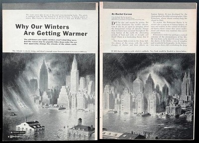  Why Our Winters Are Getting Warmer  Rachel Carson 1951 Climate Change pictorial