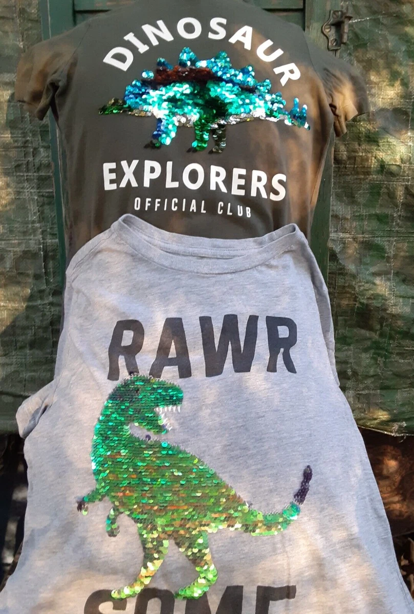 Dinosaur Sequin Flip T Shirt Pair Youth 6 8 8 10