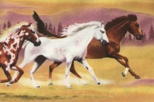Running Herd - Wild Horses Quilt Fabric - 5/8 Yard Piece