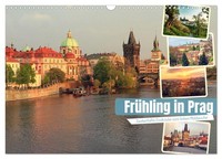 "Calendar 2027 · US Version · Spring In Prague (Wall Calendar 2027 17\" × 12\" Land"