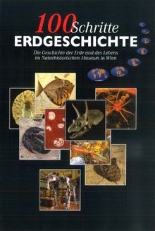 100 Schritte Erdgeschichte: Die Geschichte der Erde... | Buch | Zustand sehr gut