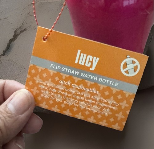 LUCY Water Bottle Sustainable 23oz Stainless Steel Flip Straw Clip BPA Free NWT - Picture 10 of 12