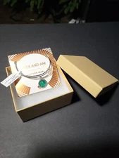 ❤️Alex & Ani Mother Mary Charm Rafaelian SILVER Charm Expandable Bracelet 