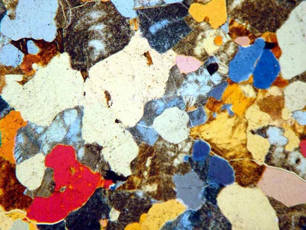 AmScope 40X-640X 双目偏光实验室显微镜 — 第 4/4 张图片