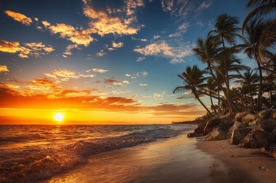 Sunrise Over Tropical Beach Palm Tree Ocean Photo Art Print Poster