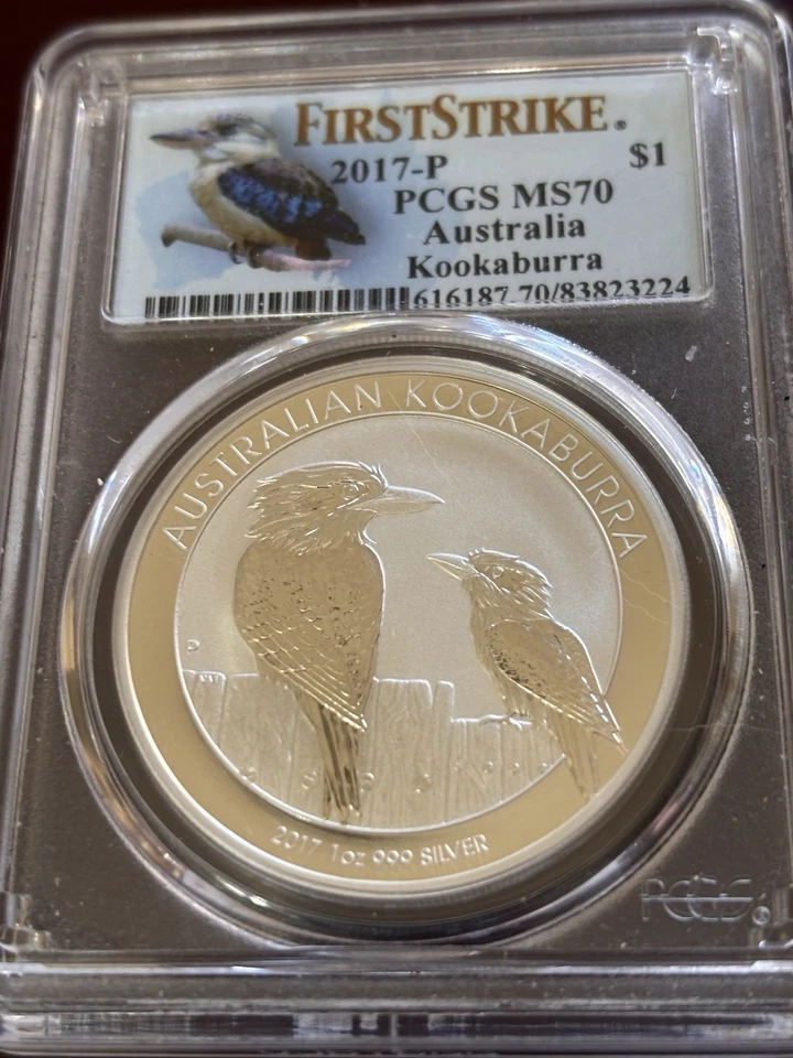 Kookaburra 2017 graduación profesional. Ms70 First Strike Foto 3 de 4