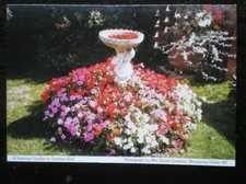 POSTCARD B56-2 BERKSHIRE A SUMMER GARDEN IN TOUCHEN END