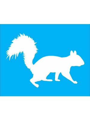 Squirrel Artistic Custom Premium Stencil Template Reusable for Wall Decor, DIY P