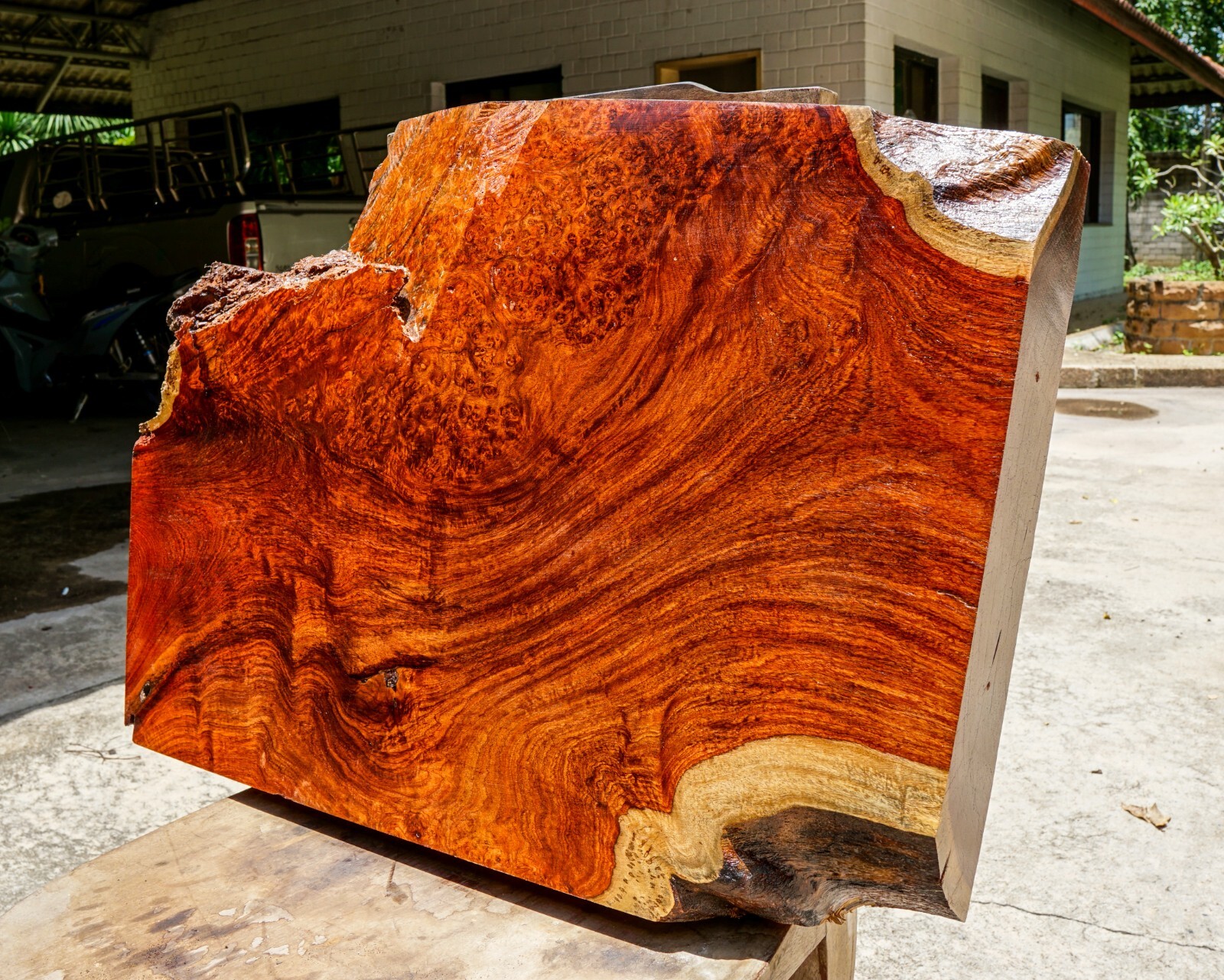 Amboyna burl gold live edge wood epoxy resin DIY table top blank-image