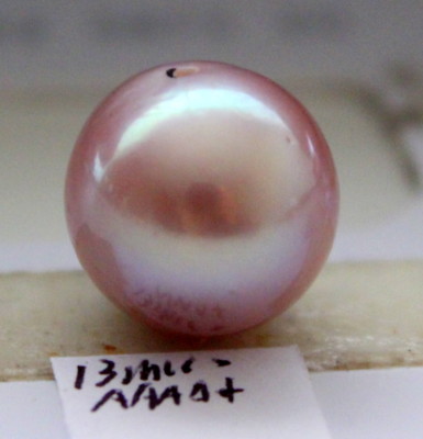 AAAA+ 13MM JAPANESE KASUMI PEARLS  HALF HOLE DRILLED