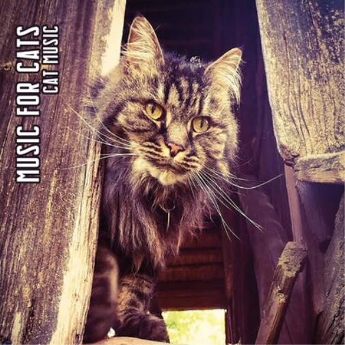 Music for Cats Cat Music (CD) Album Digipak
