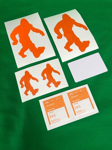 RAD Power Bike Big Foot Decal Set | eBay
