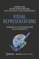 Visual Representations - Handbook Of The Anthropocene In Latin America VI G ...