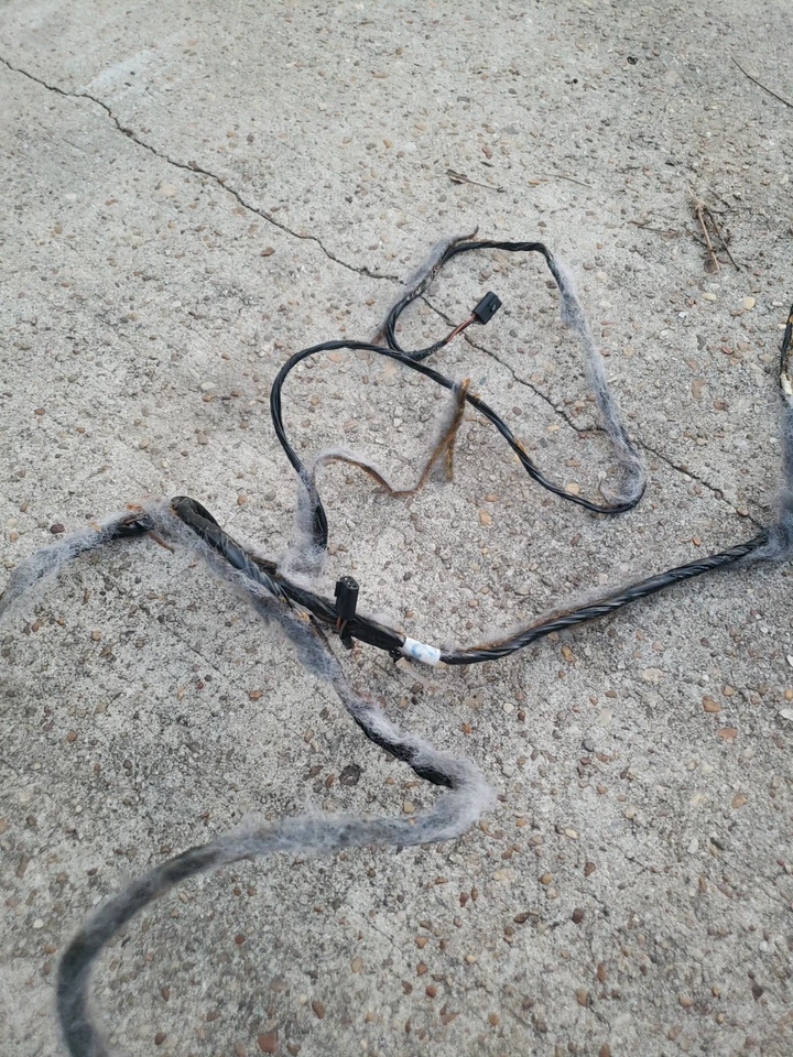 通用 2004 GMC ENVOY 4.2 室内车厢线束顶灯完整 15079781 — 第 3/4 张图片