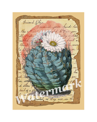 Flowering Cactus Collage Cotton Crazy Quilt Block (1A