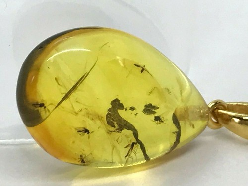 Ciondolo Ambra 5 Insetti Regalo Ambra Baltica Inclusione Argento 925 Oro PL 2,2g 5674 - Foto 6 di 12