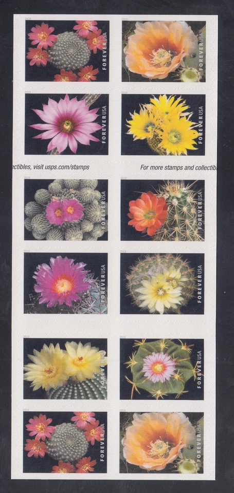 US Stamp #5350-59 Cactus Booklet, Miscut, Imperf Between Outer Margins XF NH - Image 2 of 2