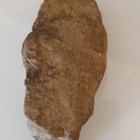 Native Indian Carved Tool Carving Of A Wolf — photo 3