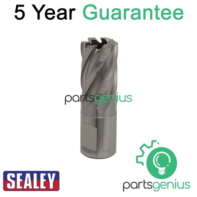 Sealey Worksafe �� 19 mm HSS Mag Bohrer Schnitttiefe 25 mm RBHSS19S