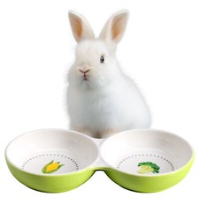 Ciotola Doppia Ceramica Ciotole Cani e Gatti Cuccioli Conigli Porcellini d'India