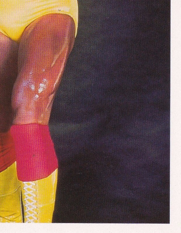 Cartes Wrestling Hulk André Cartes à Collectionner Wrestling WWF Merlin