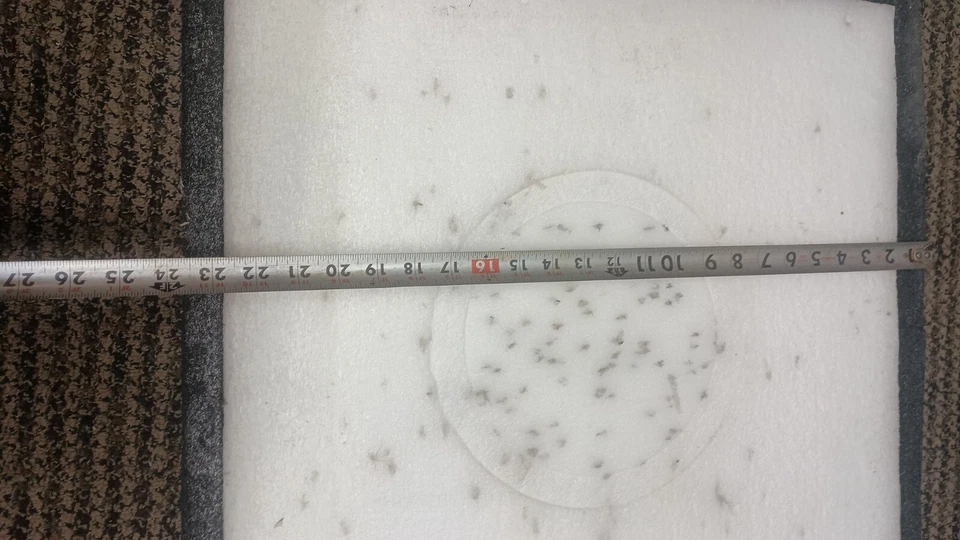 Stanley Hips Black Hole Archery Target 24" Inch - Image 3 of 4