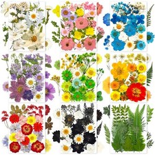 185 Pcs Pressed Dried Flowers for Resin Molds, Natural Real Flowers Leaves fo...