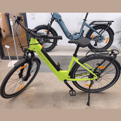 DERUIZ Quartz E-Bike 28 Zoll Tiefeinsteiger Torque-Sensor Damen & Herren RH44cm