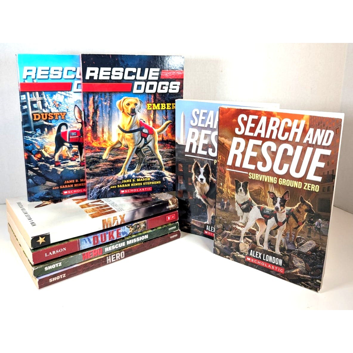 Lot of 8 Dog Heroes & Rescue Adventures Children Chapter Books Scholastic PB