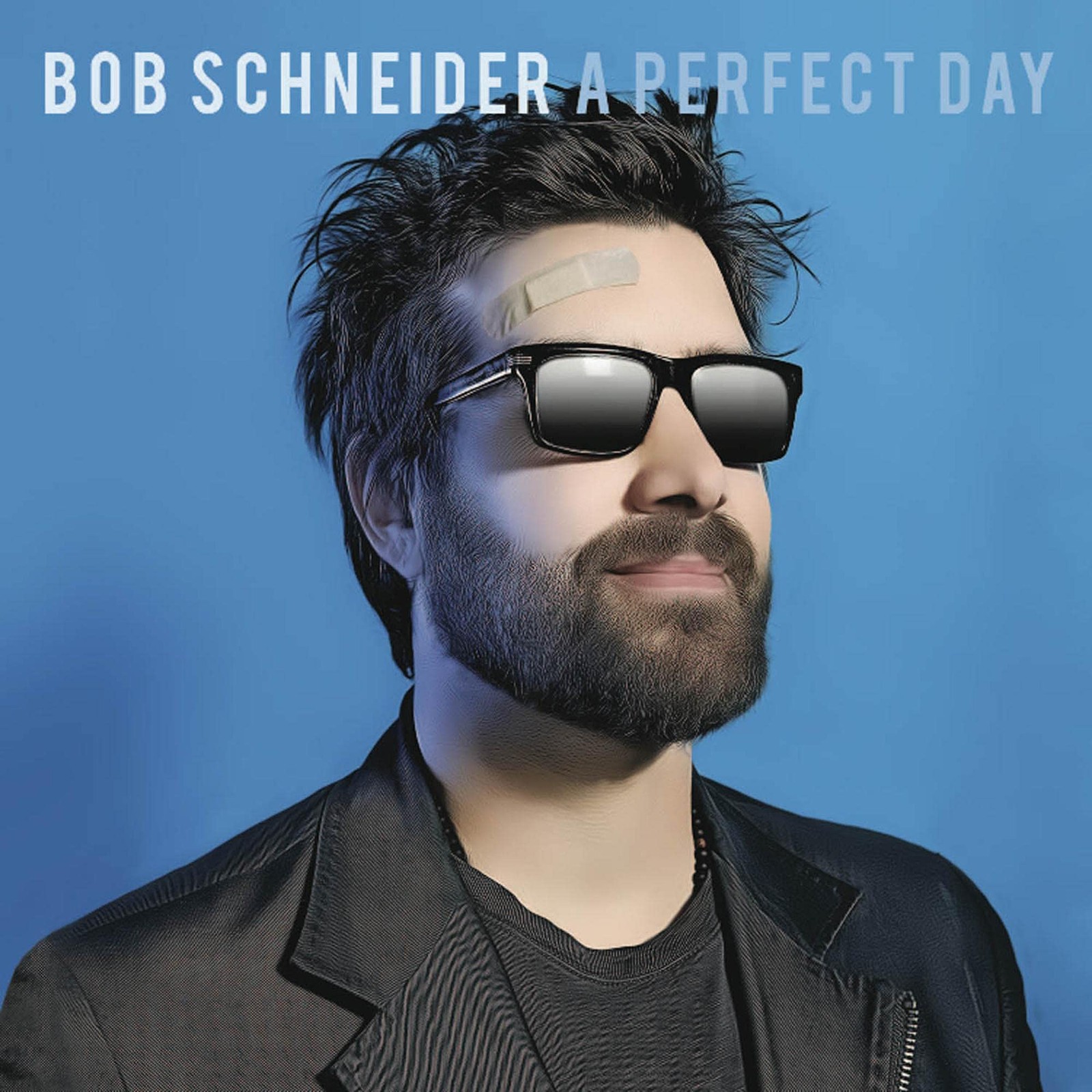 Bob Schneider M.B Perfect Day (CD)