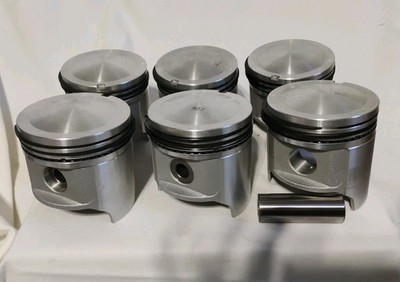 Land Cruiser 6 Piston Heads Standard New Open Box  