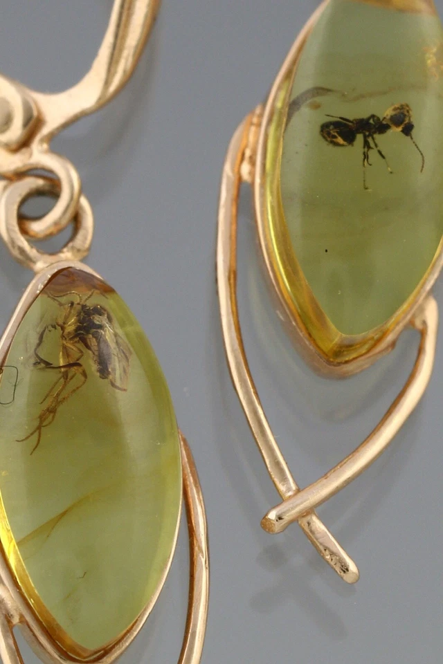 Pendientes colgantes genuinos ámbar báltico oro 14k insectos fósiles 2,4 g 191127-3 Foto 3 de 3